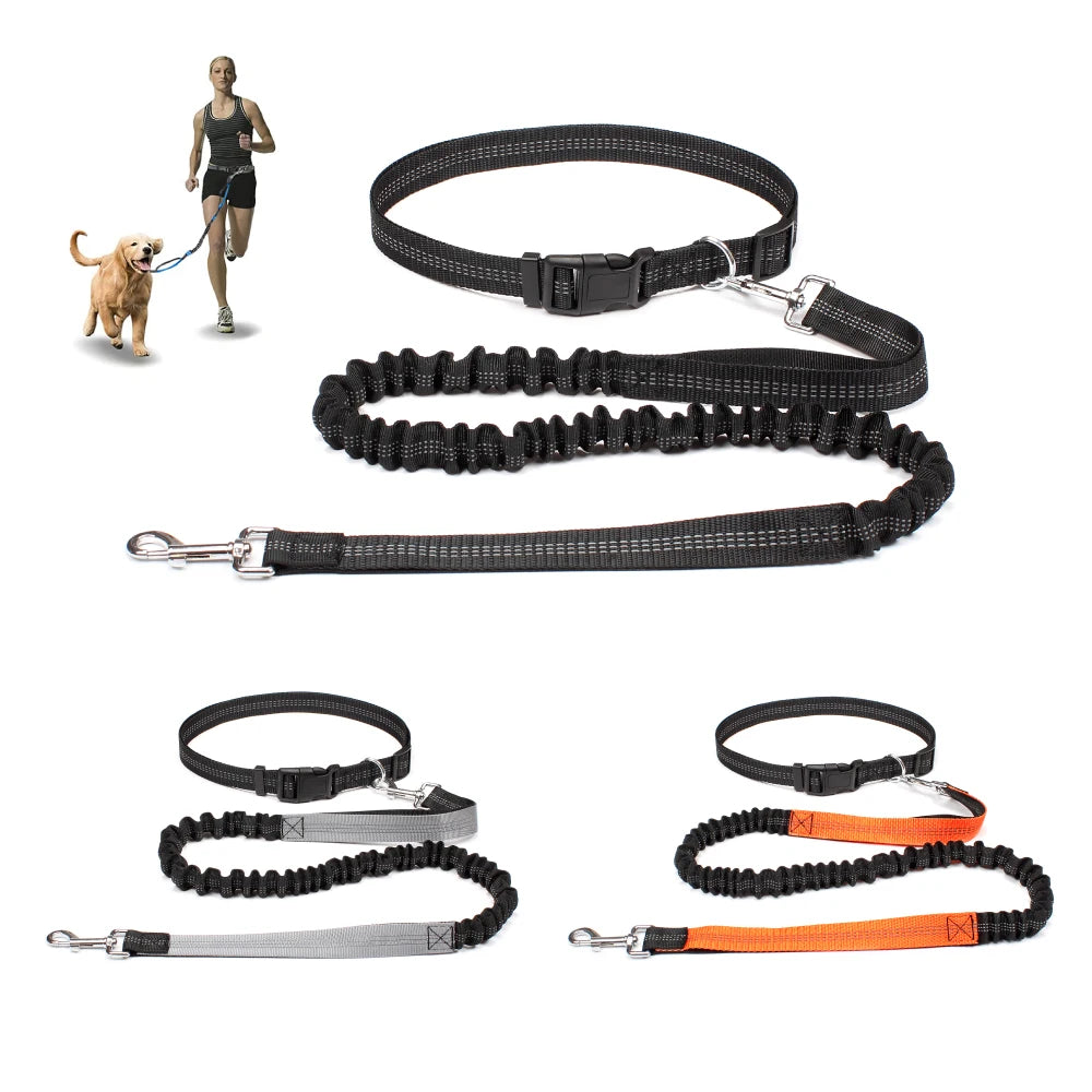 Adjustable Hands Free Dog Leash For Dog Walking Running Jogging
