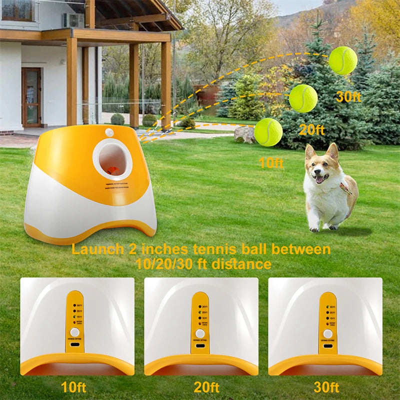 Mini Tennis Ball Launcher (Automatic) Comes with 3 Balls!