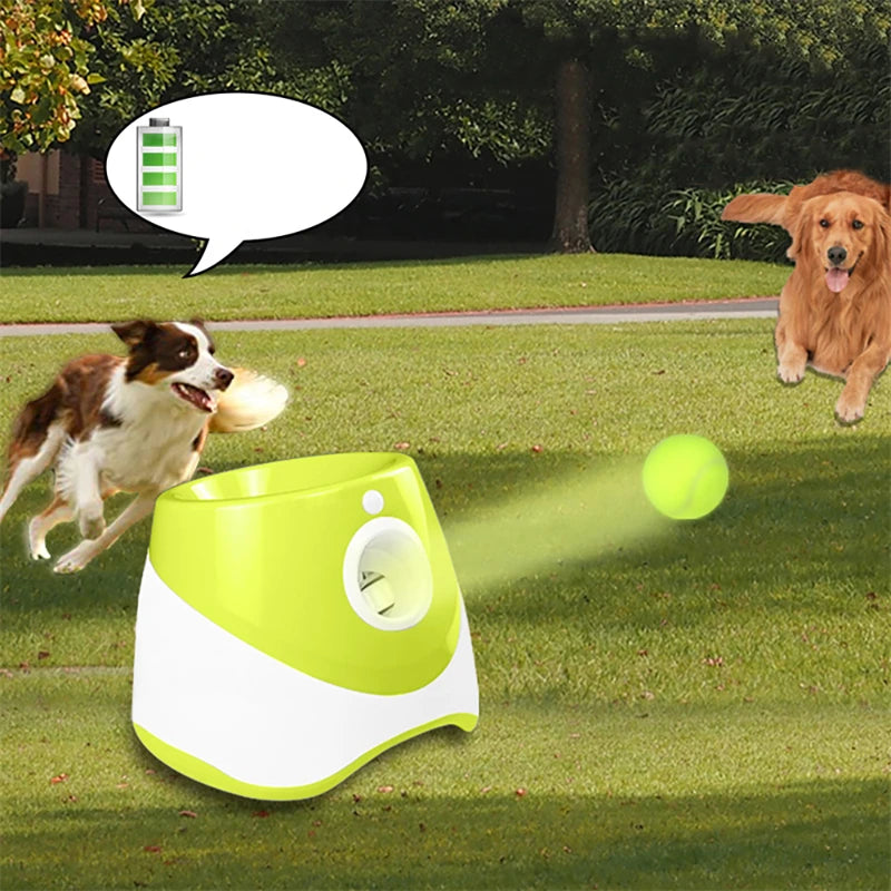 Mini Tennis Ball Launcher (Automatic) Comes with 3 Balls!